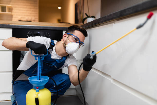 Best Best Pest Control Companies  in Steele, MO